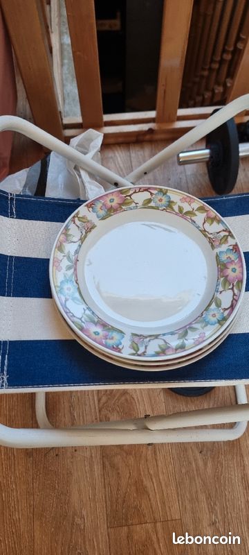 Belles assiettes à fleur (image 1)