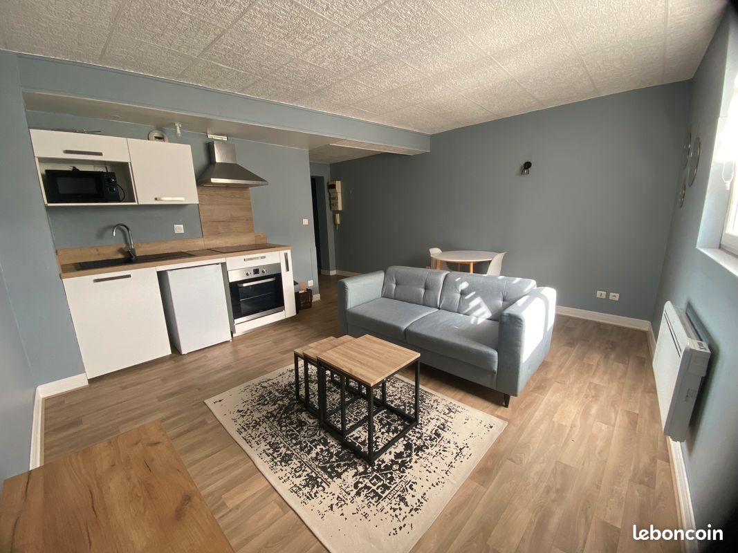 Grand studio centre ville - Limoges 87000 (image principale 3)