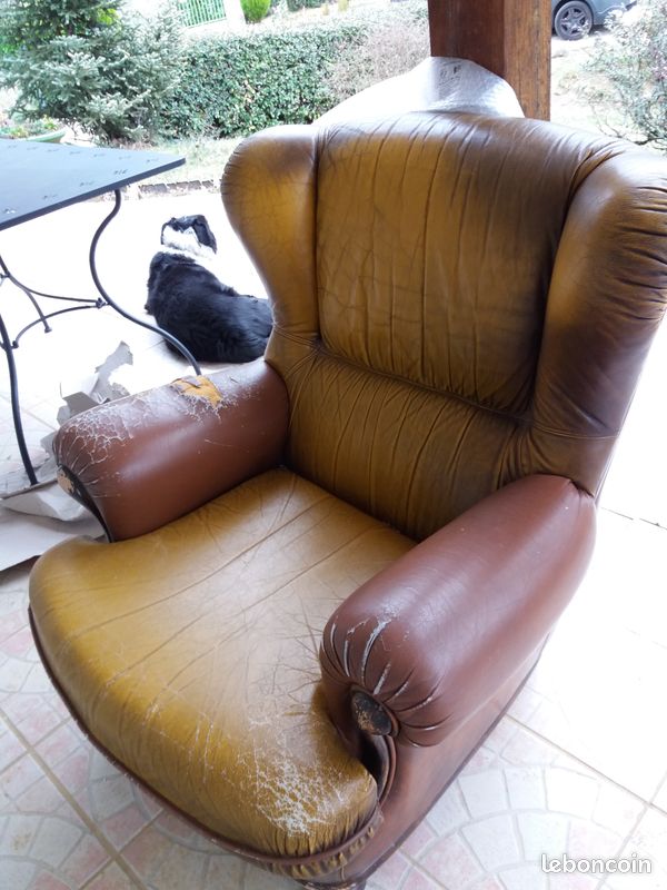 Fauteuil cuir (image 1)