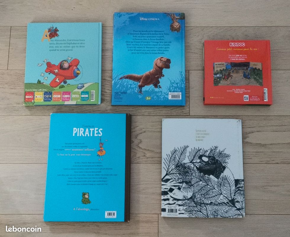 Kididoc les châteaux forts, dinosaures et autres histoires de pirates (image 2)