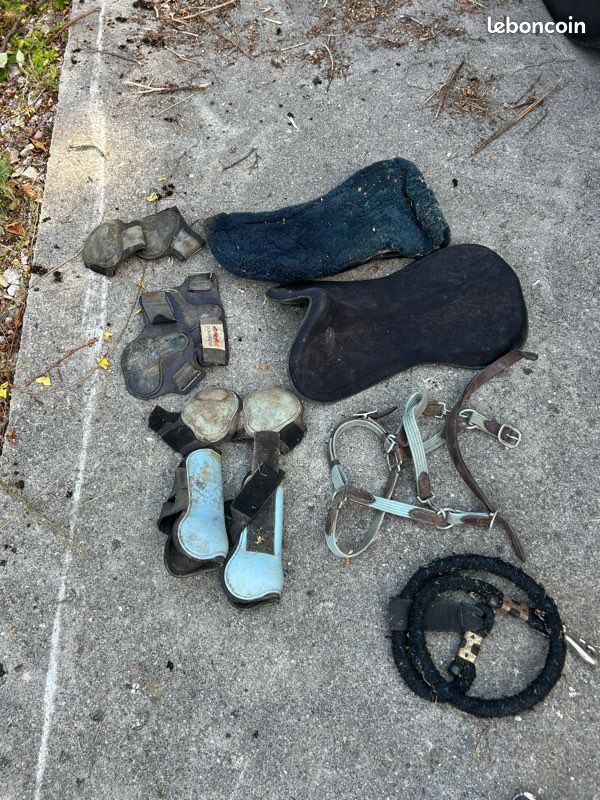 Divers matériels équipement cheval cavalier (image 1)