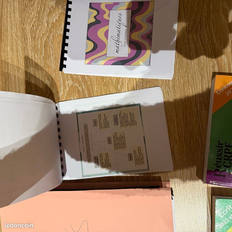 Fiches révision maîtresse P et C + livres CRPE (image 5)