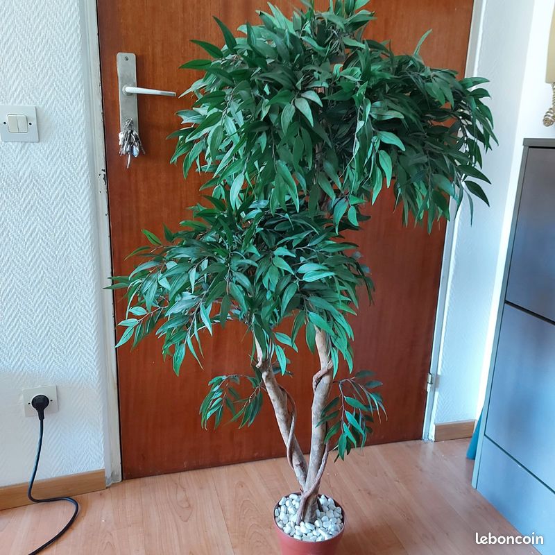 Plante artificielle grand modele tres belle conception realiste - Dcoration