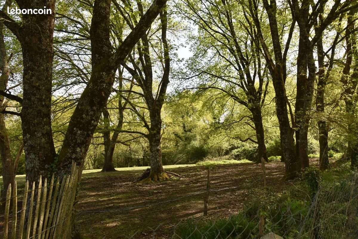 Maison 5 pièces 105 m² - Mont-de-Marsan 40000 (image principale 2)