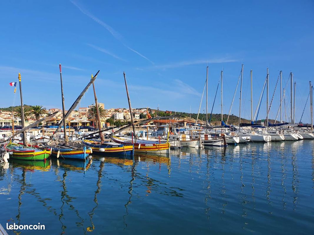 Superbe appartement direct mer Banyuls sur mer (image 6)