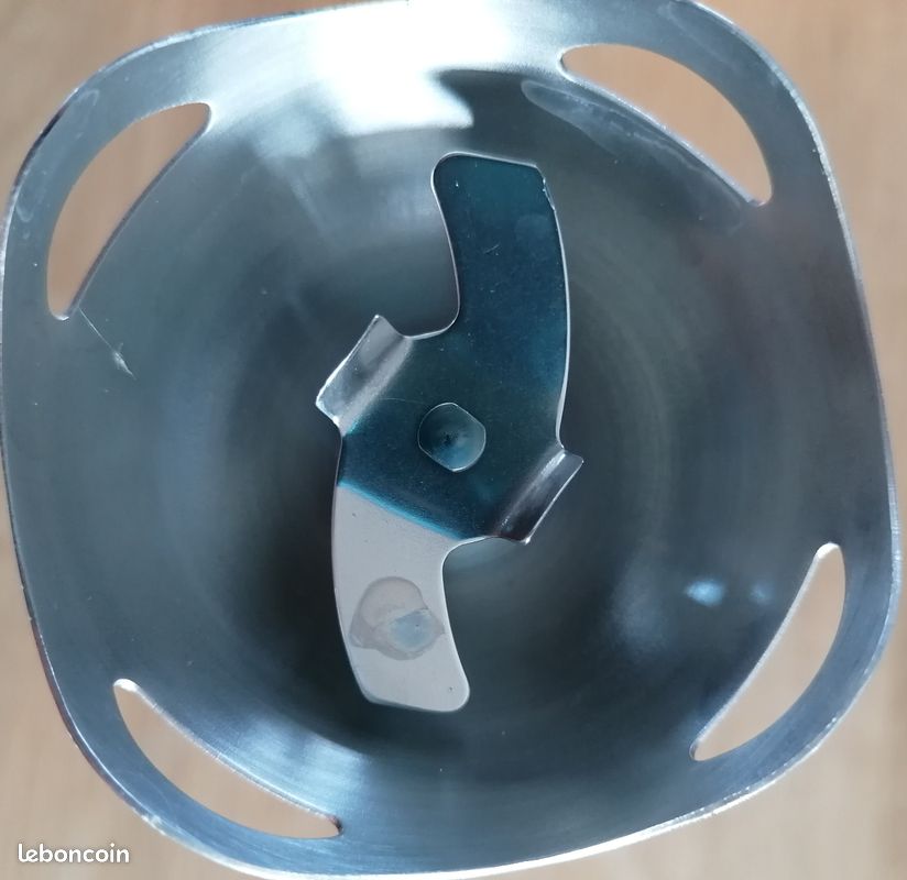 Mixeur Plongeant ESLAY (image 3)