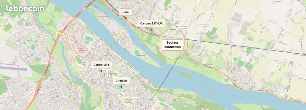 Chambre avec salle d'eau privée – coloc 200 m² avec jardin – ESTHUA / gare Saumur (image 8)
