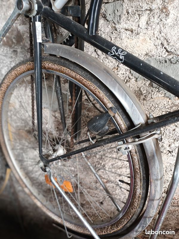 Vélo femme (image 2)