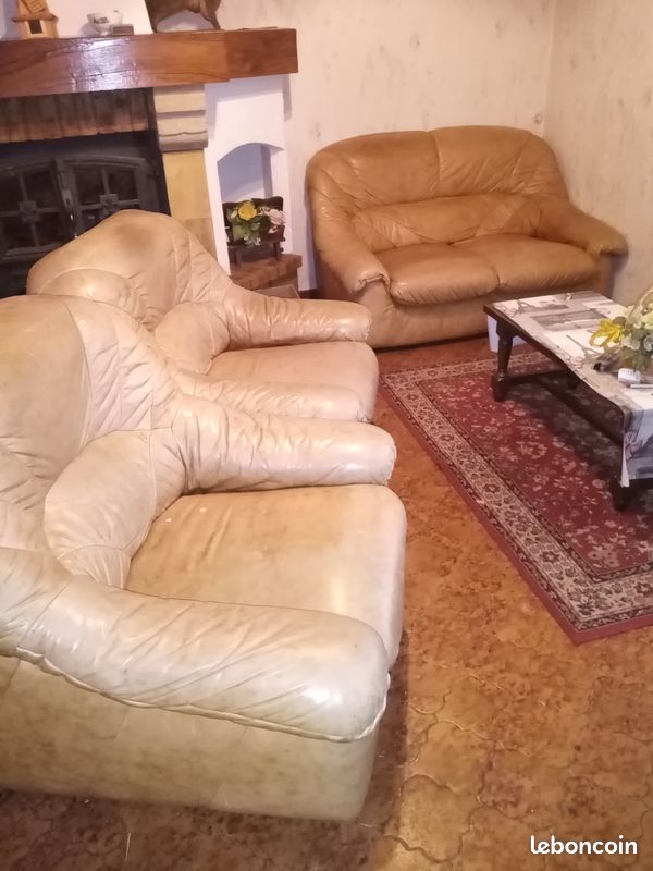Salon en cuir (image 2)