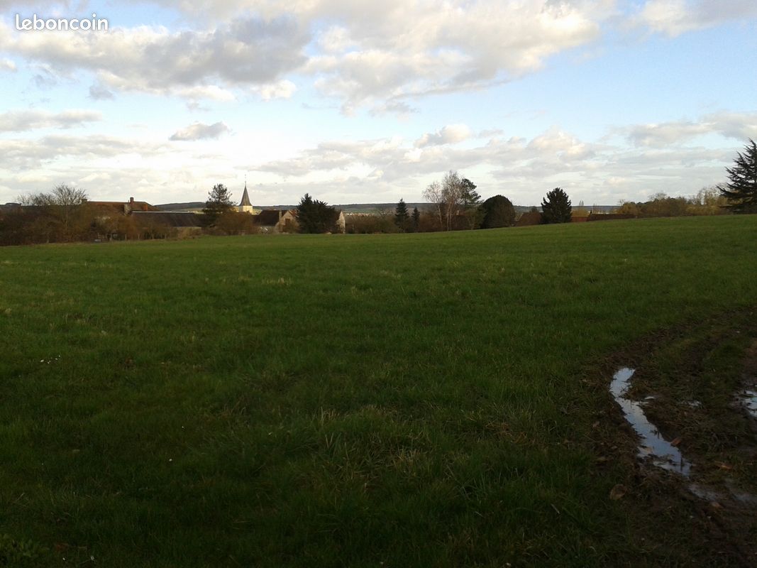 Terrain constructible · à Lésigny · 24 000 €