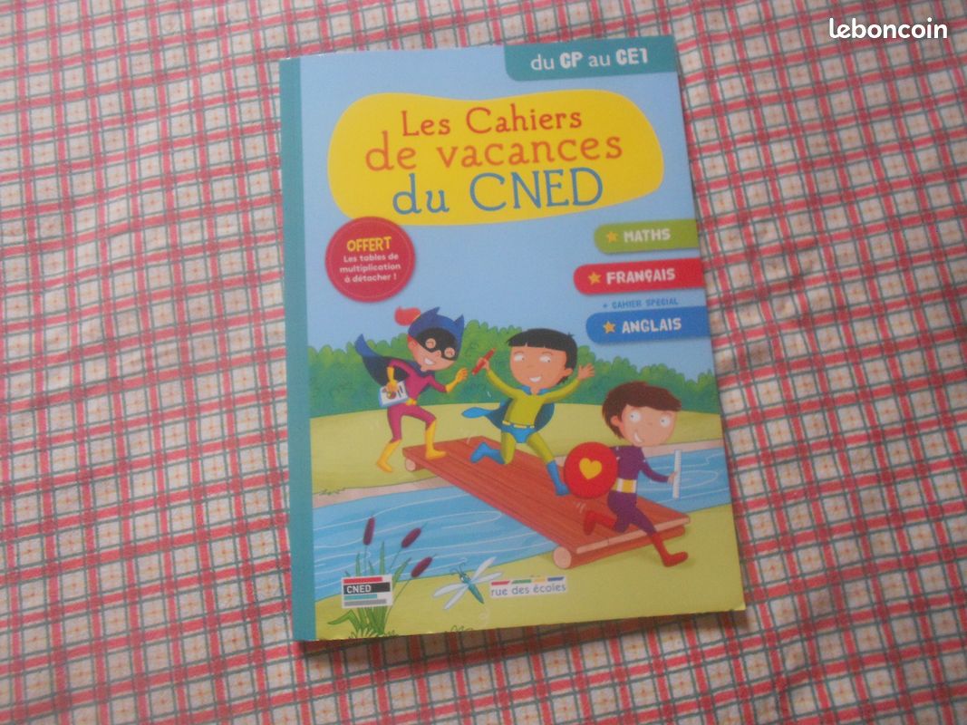Les cahiers de vacances (image 1)