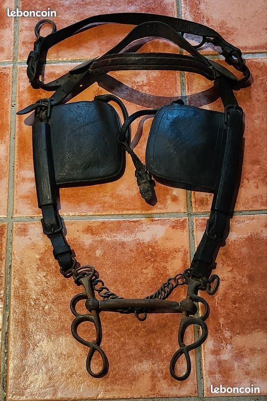 Bride De Conduite Ancienne En Cuir Clouté – Avec œillères – EN L'ÉTAT