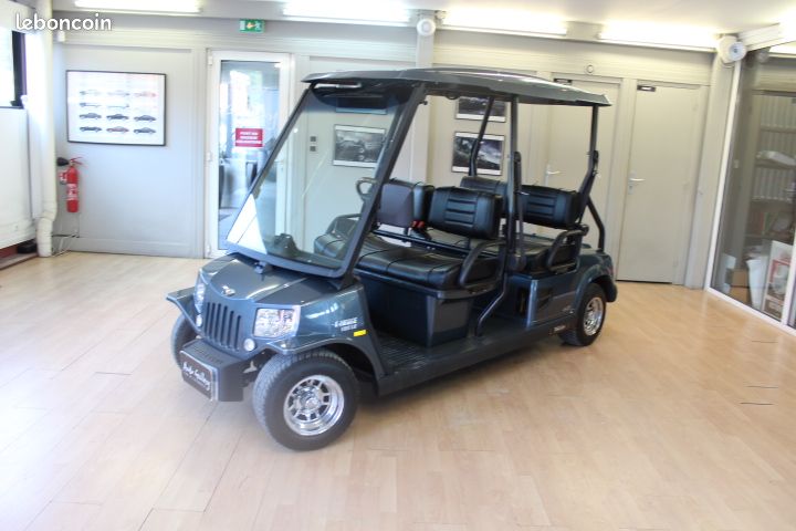 Golfette électrique Tomberlin E-MERGE 500 – 2014 – Carte grise FR – L7e – Batteries 2023 (image 1)