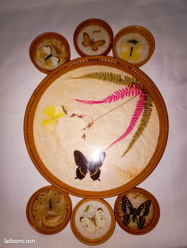 Lot de 6 dessous de verre papillon