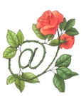 AQSAROSES