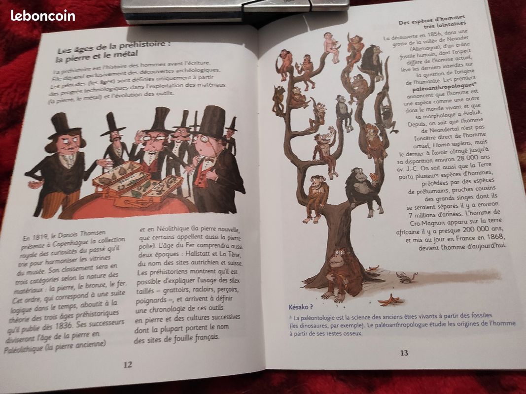 L'Archéologie à Petits Pas - Raphaël de Filippo (image 3)