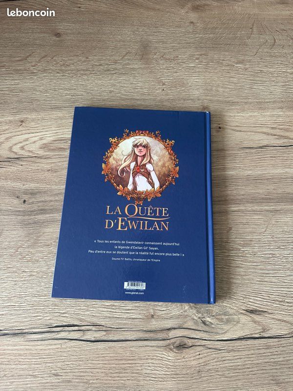 BD la quête d’Ewilan tome 1 (image 3)