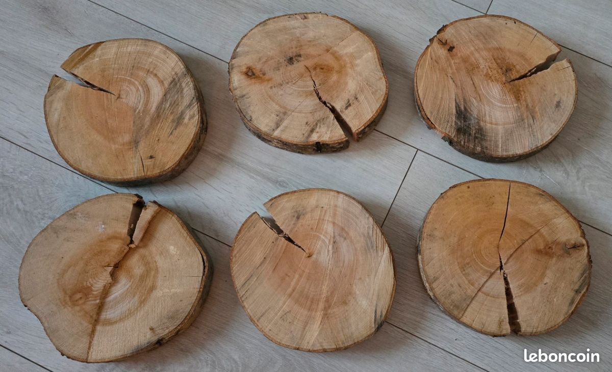 Rondin De Bois Deco 9-10cm,20 Pcs Tranche De Bois De Brut | WhichOne