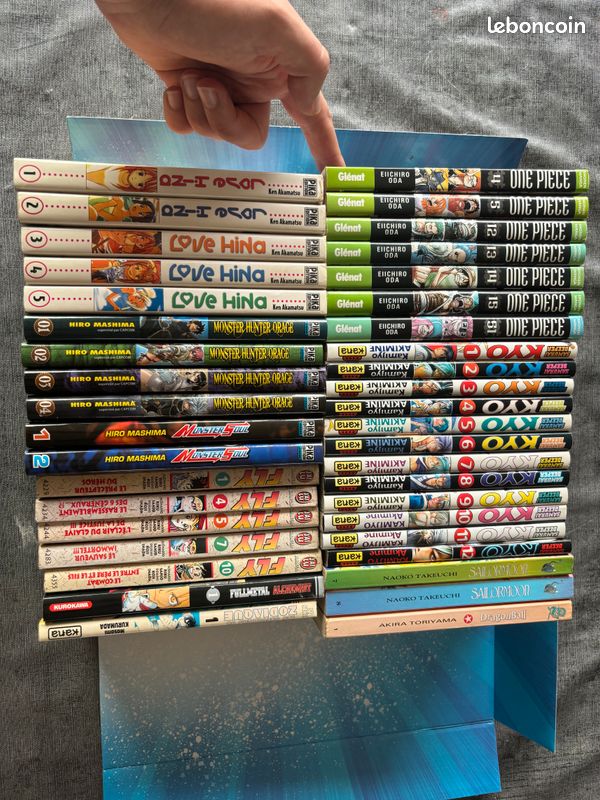 Collection manga pour débarrasser (image 1)