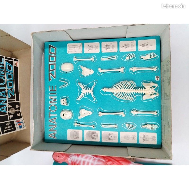 Jeu Anatomie 2000 CEJI Corps Humain – Vintage Années 70 Complet – Jeu éducatif Sciences