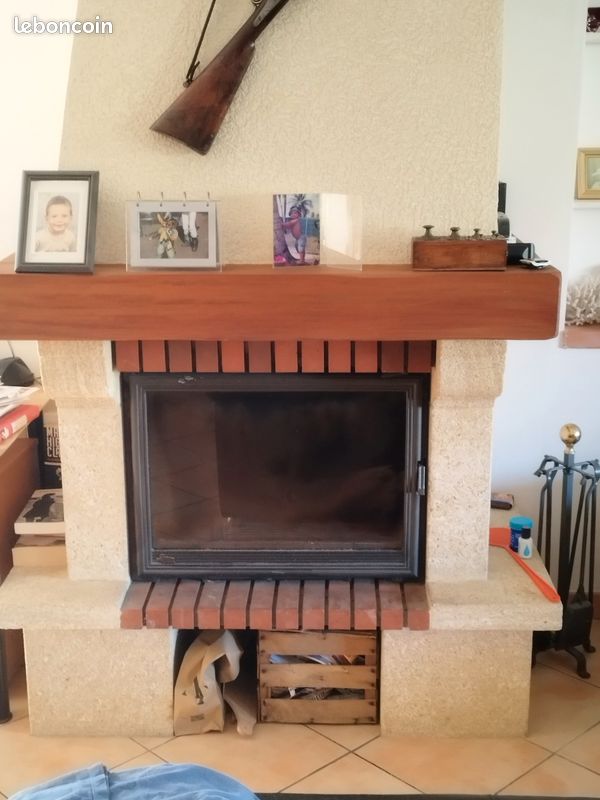 Cheminée insert (image 1)