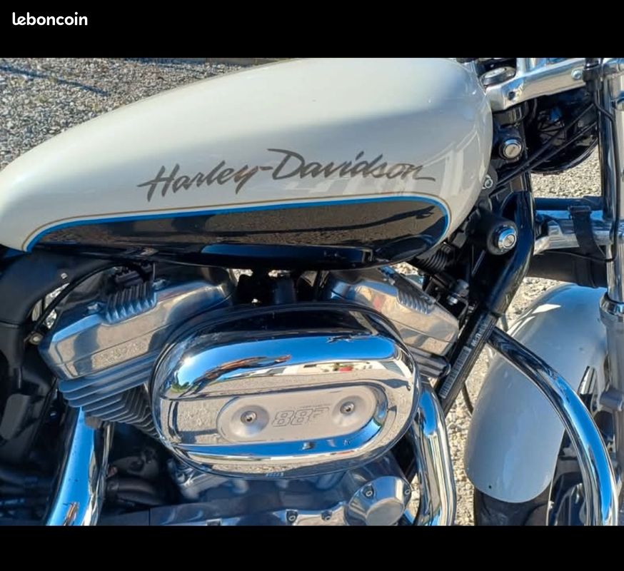 Sportster 883 super low (image 3)