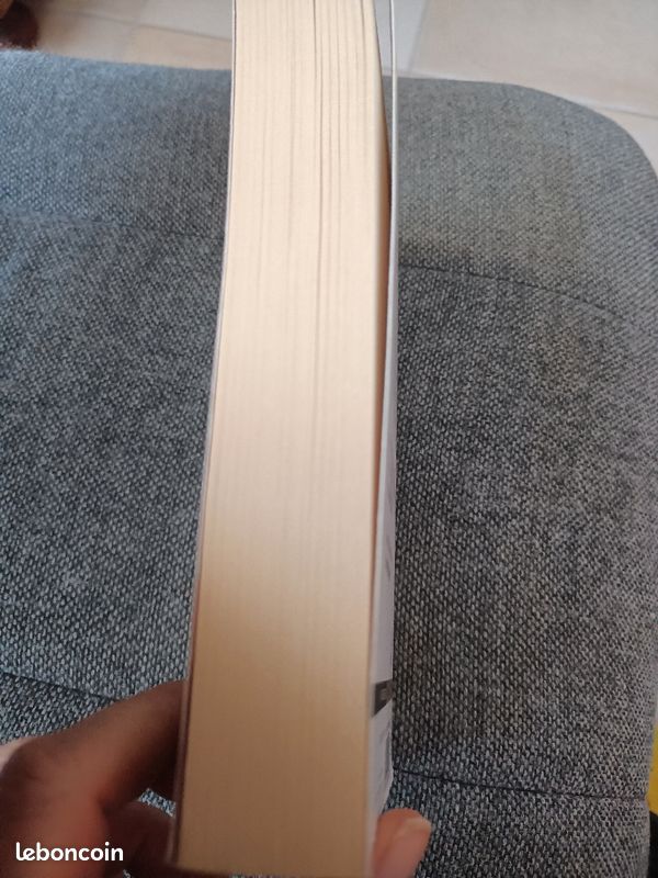 Livre Bridget Jones en anglais (image 3)