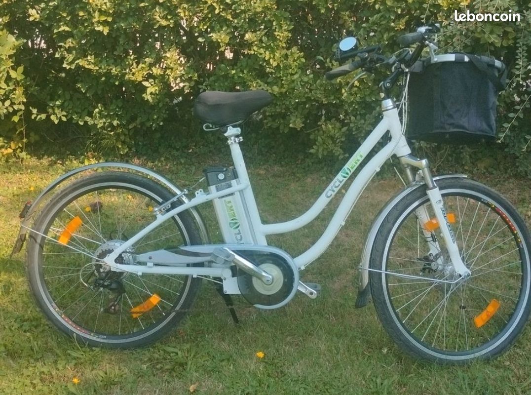 Vélo électrique (image 1)