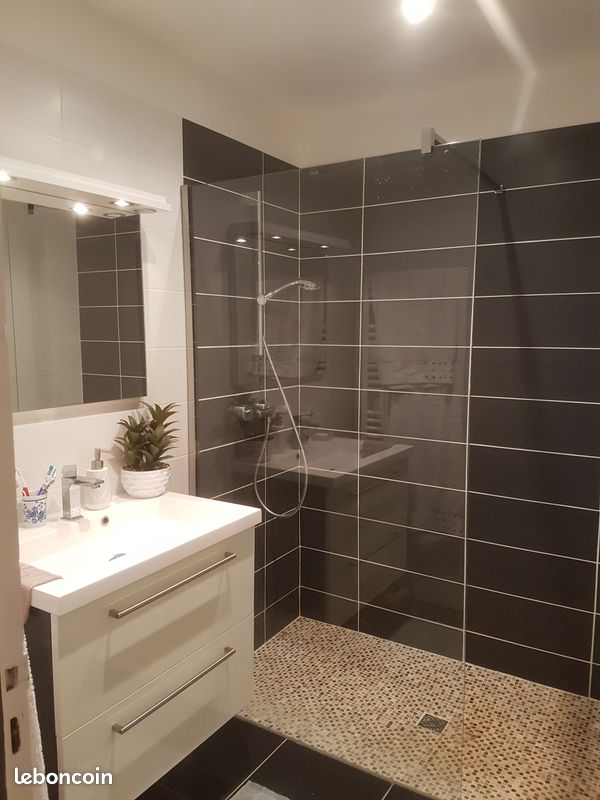 Location appartement T3, vue mer Saint Cyprien (image 5)