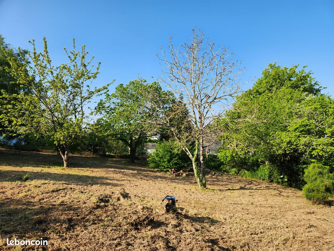 Beau terrain arboré · à Landaul · 130 000 €