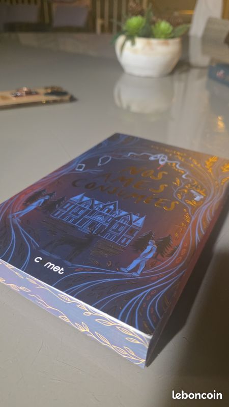 LIVRE Nos âmes consumées (image 5)
