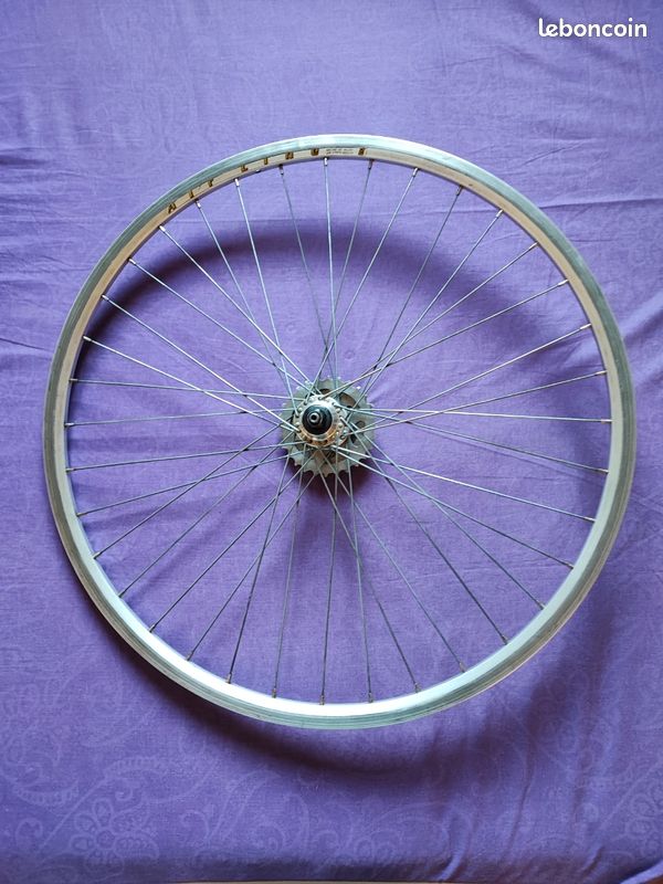Roue Arrière 700 Mm Pour Vélo Ancien – Collection Eroica