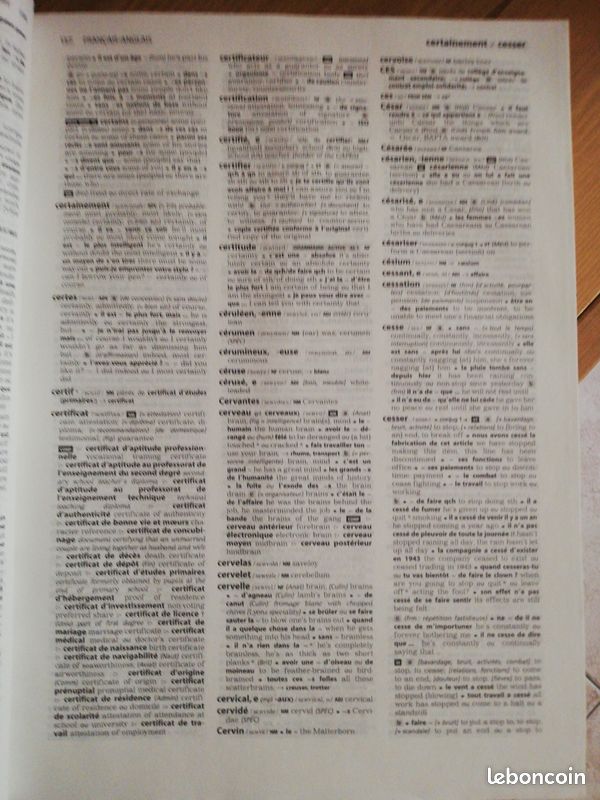 Dictionnaire français anglais (image 4)