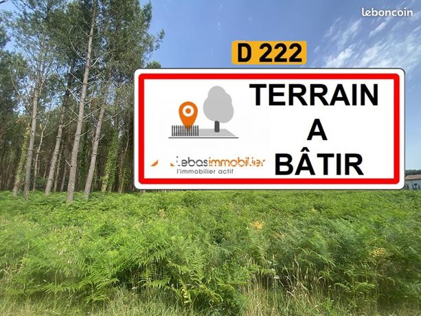 https://img.leboncoin.fr/api/v1/lbcpb1/images/b7/f4/df/b7f4df6a3deb78abf7dc93511f5b7ebf1d059174.jpg?rule=ad-image