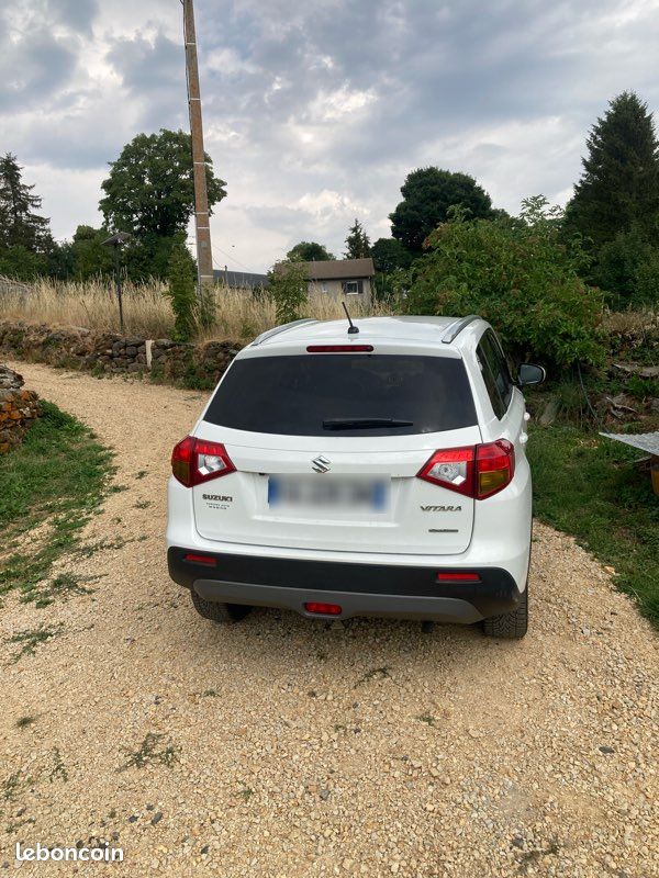 Vitara flexfuel e85 (image 2)