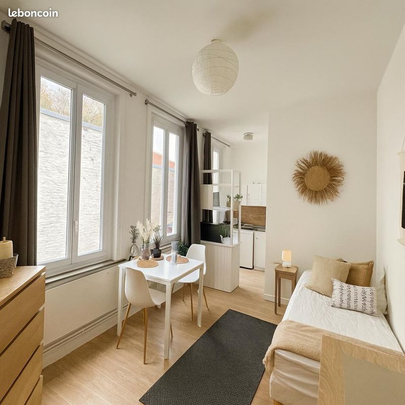 Studio Vauban hyper centre 23m² - Locations