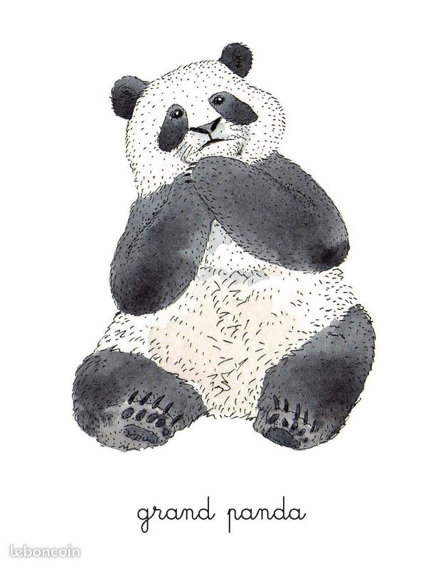 Mon coffret Montessori des animaux NATHAN NEUF (image 2)