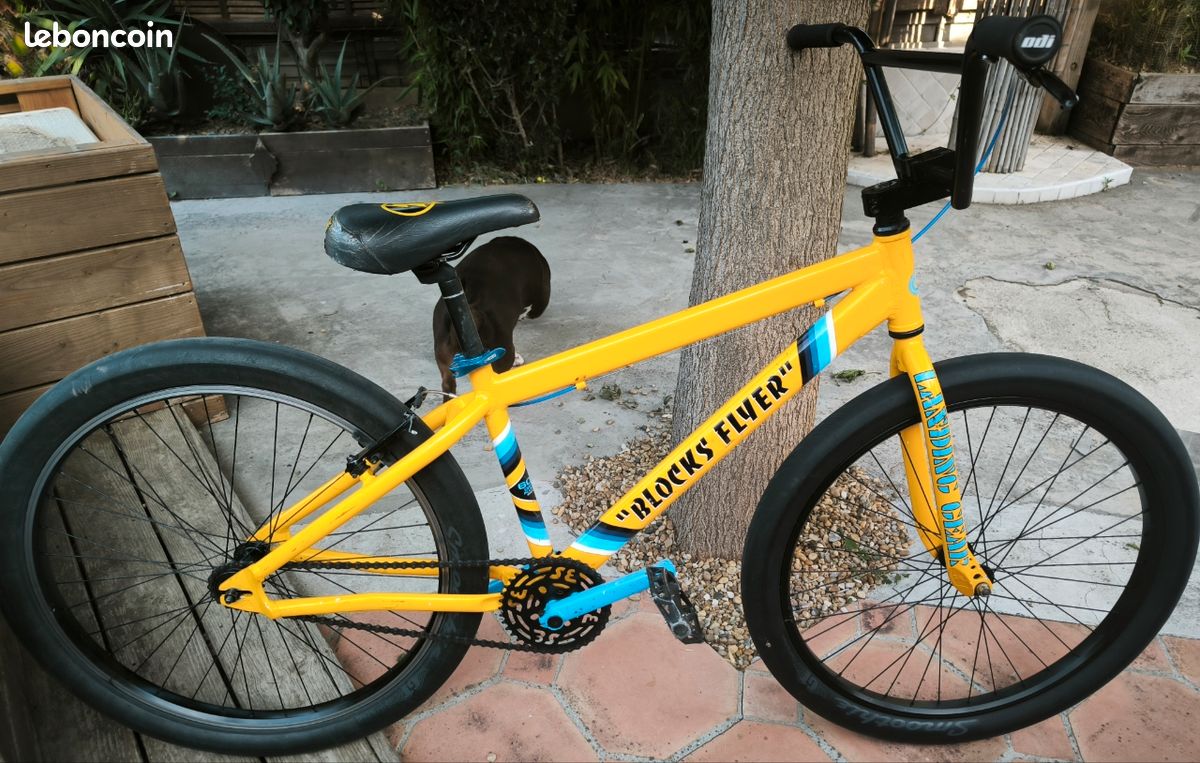 Bmx (image 3)