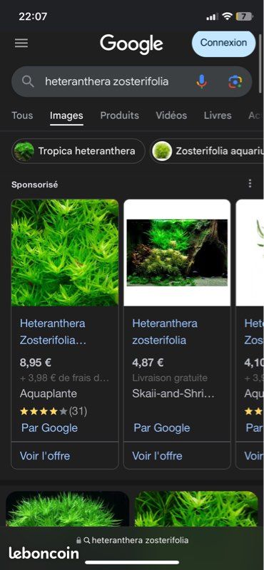 Plante aquarium 🌱 (image 3)