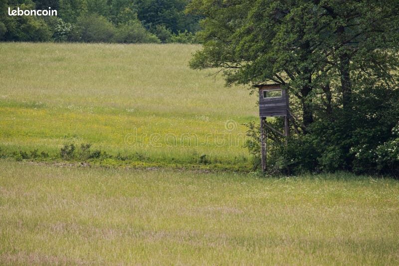 Recherche bois ou parcelle de chasse (image 1)