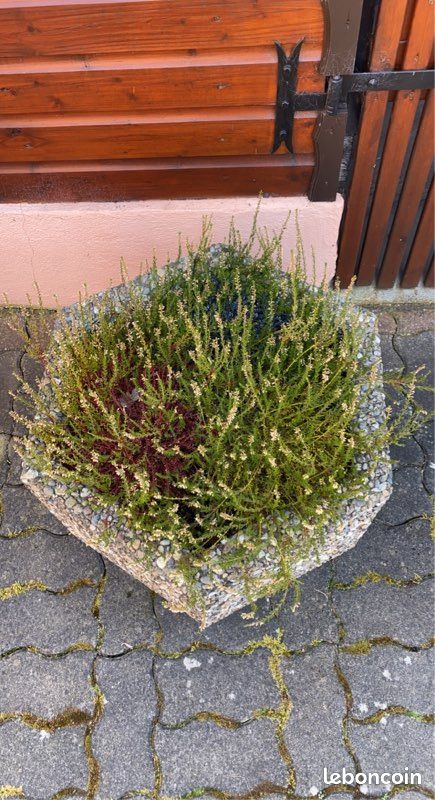 Bac à fleur en beton (image 3)