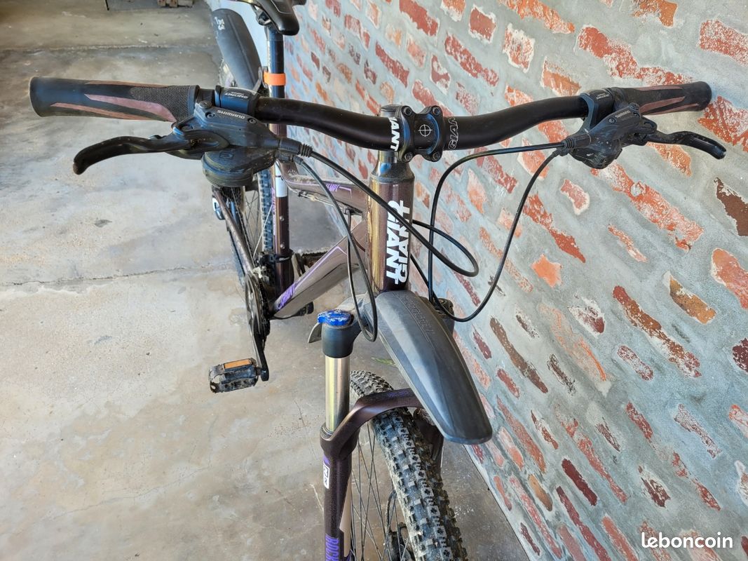 VTT giant Tempt (image 2)