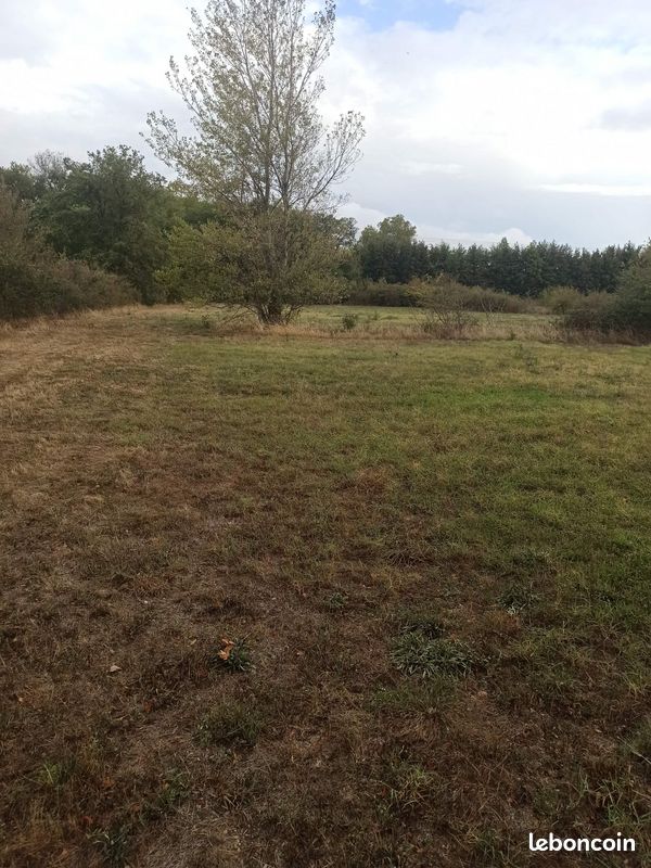 Terrain 6896 m² · à Revel · 6 896 m² · 120 000 €