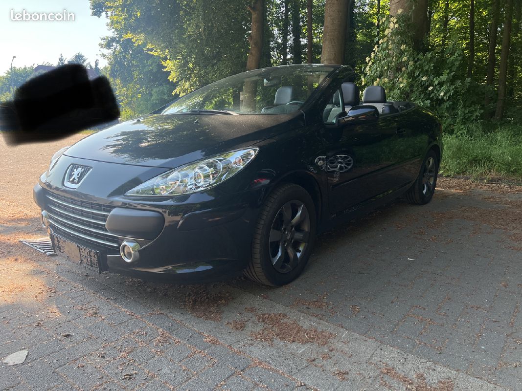 Peugeot 307 2.0 (image 1)