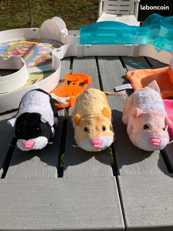 Zhu zhu pet (image 9)