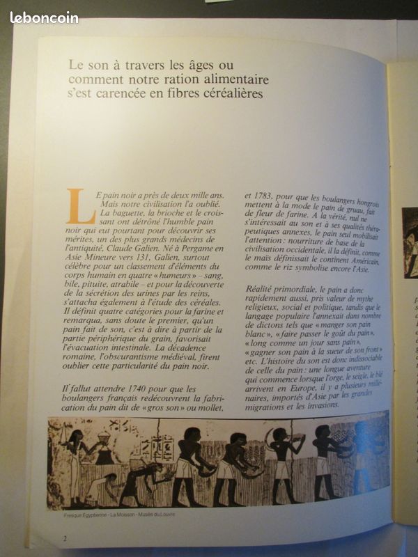 Fibres alimentaires naturelles ; diététique (image 3)