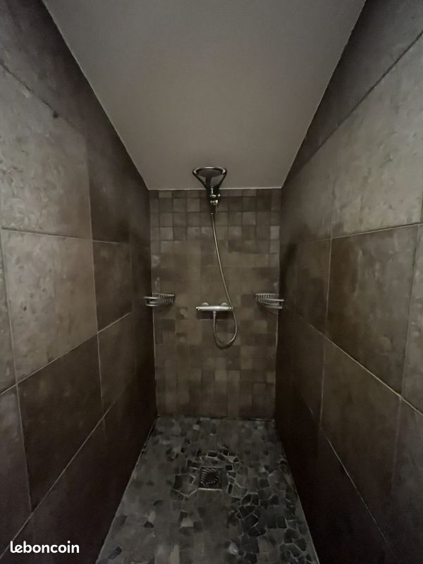 Maison 9 pièces 231 m² (image 13)