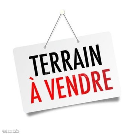 https://img.leboncoin.fr/api/v1/lbcpb1/images/b8/40/4a/b8404a811ed188fac71464caaa3c22b663253c52.jpg?rule=ad-image
