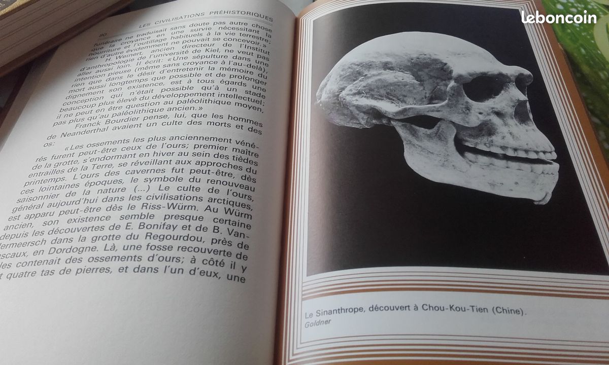 Beau livre LES CIVILISATIONS PRÉHISTORIQUES 1975 (image 3)