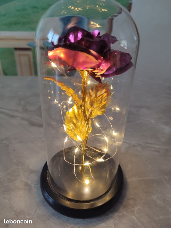 Rose sous globe en verre couleur fushia (image 7)